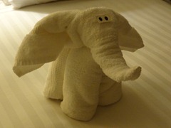 90 Elephant towel animal